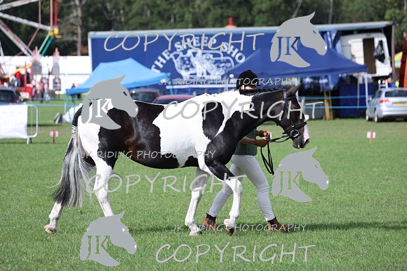 APP_2572 - Class 9 Veterans in hand