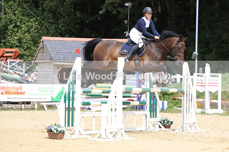 3E7A4370 - Class 8: Senior Foxhunter/1.20 open