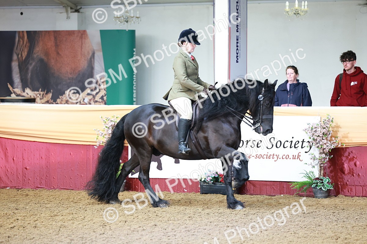 SBM_11871 - Class 102 - Equitation (Best Rider) Adult
