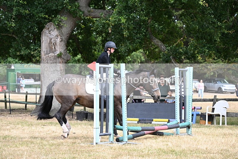 WJ6_5173 - Class 12 Minimus Jumping 45cm