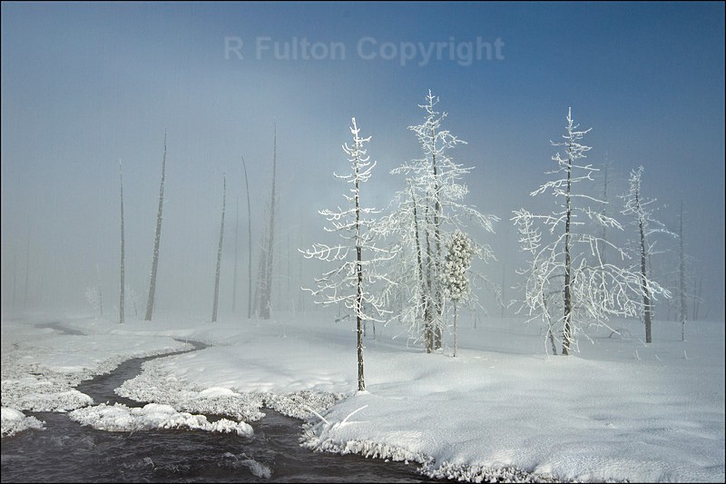 Light  Shade - Yellowstone