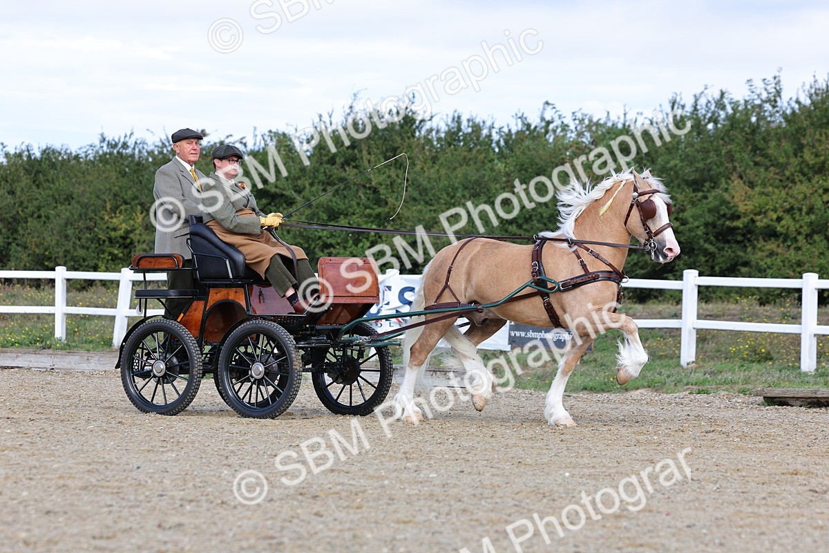 SBM_000817 - Class 6 - Exercise Vehicle 13.2 and over
