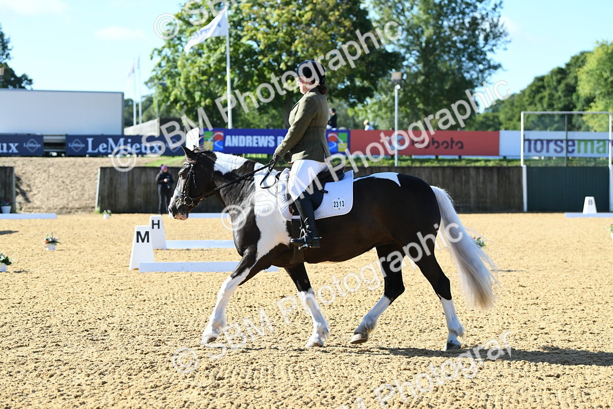 SBM_02723 - D7 Small Tour Championship Prelim 1