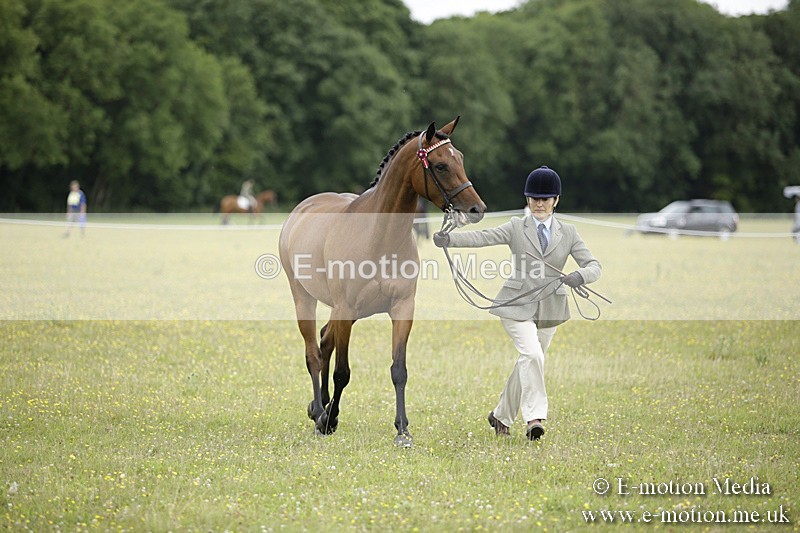 BVR160717-855 - Ring 2 BVRC Show 16/07/17