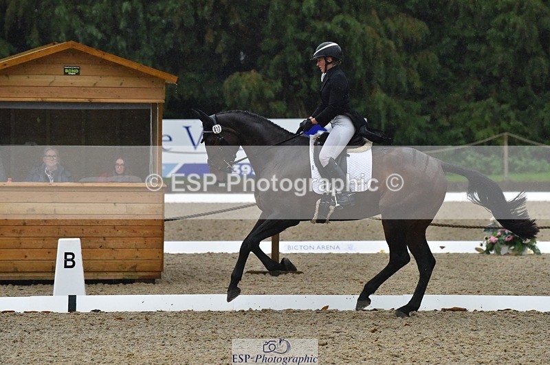 231018-154456-00866 - 012-ROMANY.CRICKET-Nana.Dalton-DR