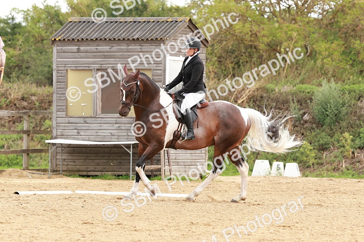 SBM_002759 - Novice 2