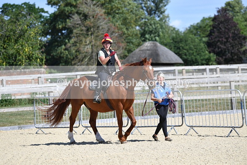 WJ5_4879 - Poles on the Floor