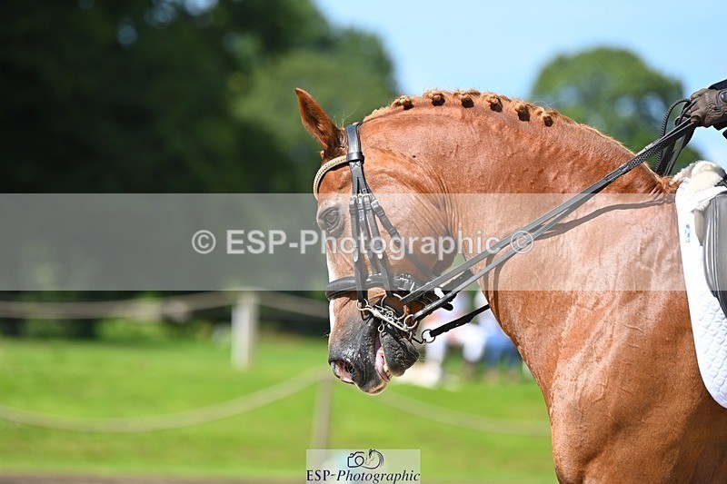 230811-123424-01328 - Cls 4 Adv Medium Silver