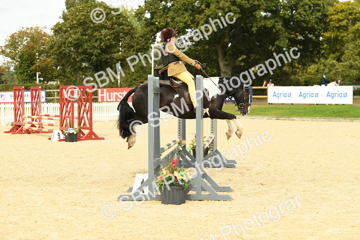 SBM_71121 - J15 - Junior Pony 70cm Championship