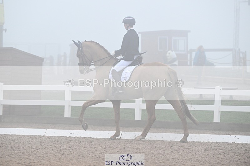 240217A-131418-02780 - 271-Tom.Carter-Rubin.Regal