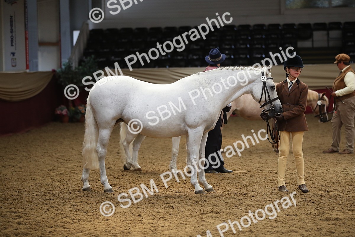 SBM_05355 - Class 8R - Regional IH Veteran