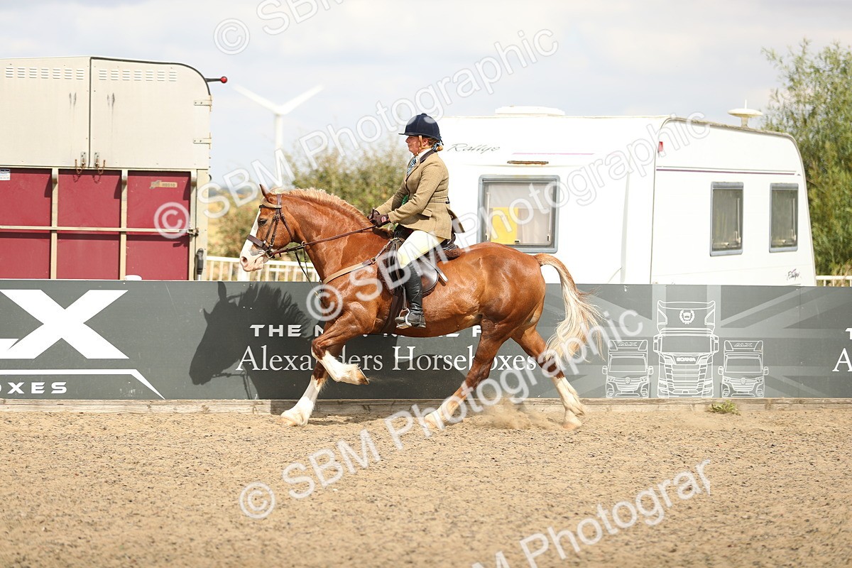 SBM_04819 - Class 46b Style & Performance 50cm (20+)