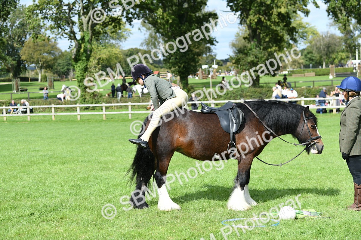 SBM_46915 - S12 - Family Horse & Pony