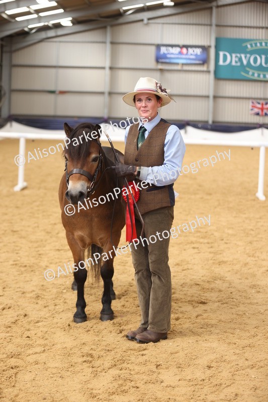 20260913-1729 - Class 115 - Gelding 4years and over