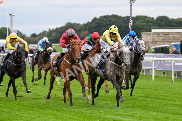 101025-Race 1-Ice Max-0050 - Race 1 William Hill Autumn Mile Handicap at York