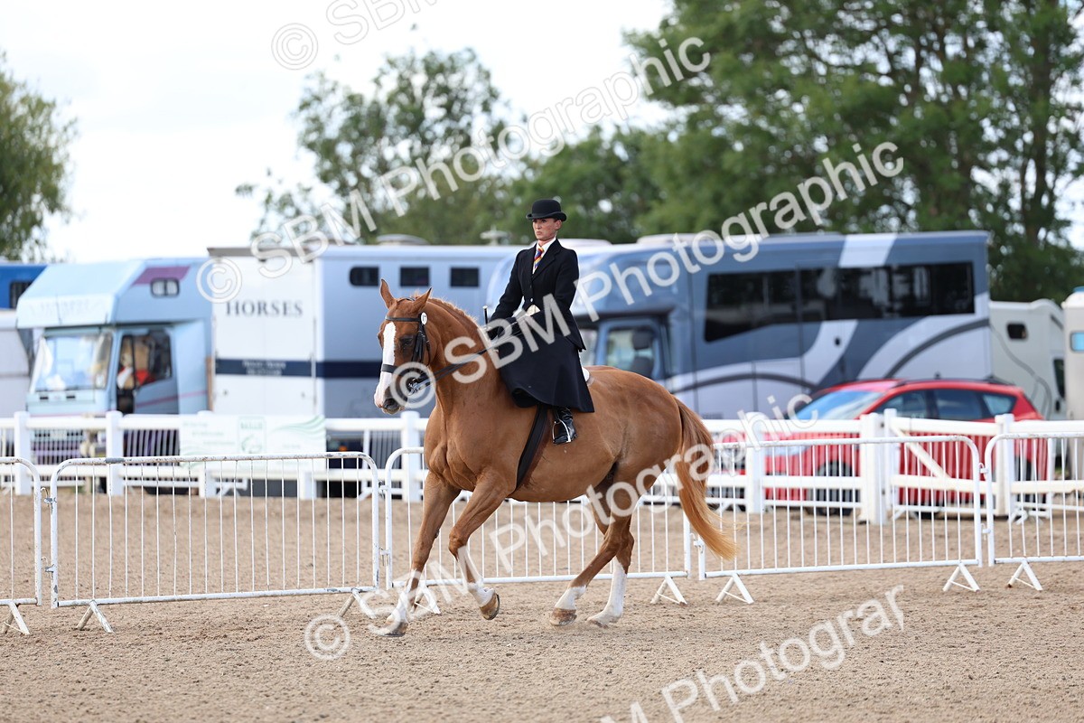 SBM_11218 - Class 306 - Ridden Foreign Breeds - Part Bred