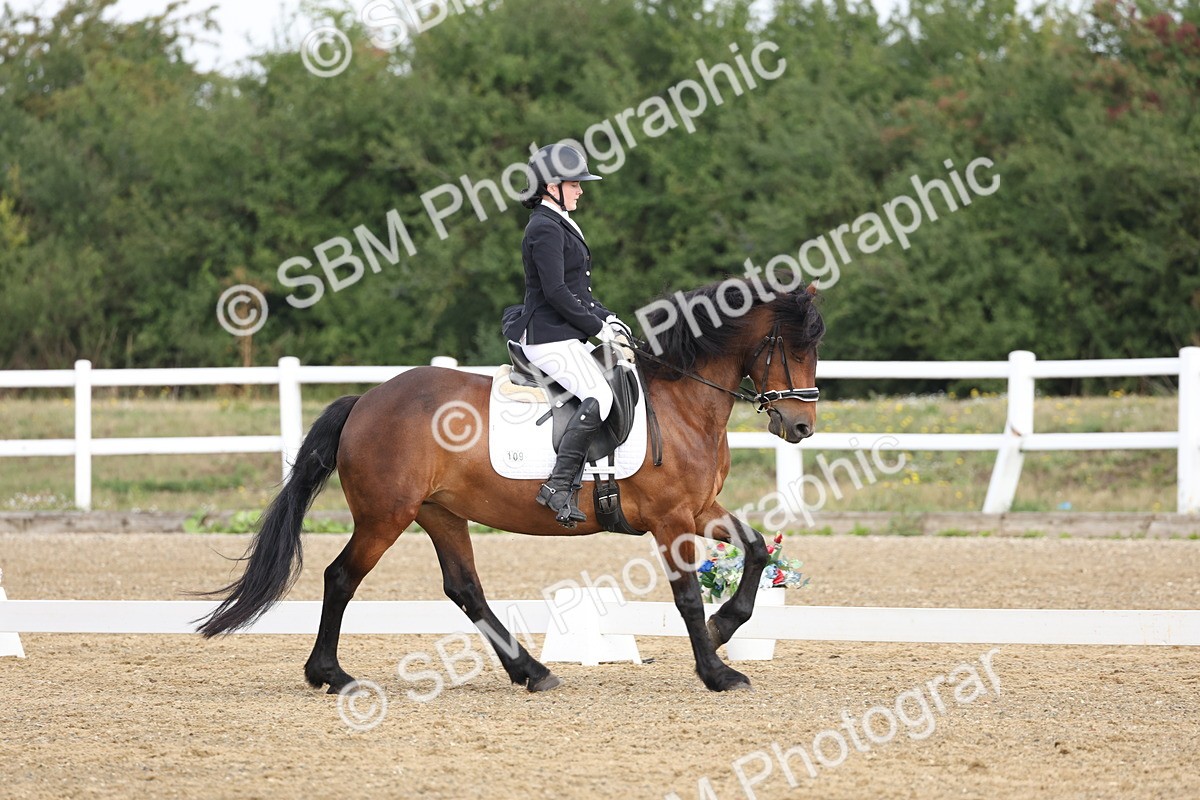 SBM_005856 - Class 6 - Novice 6 - 10.26-11.29