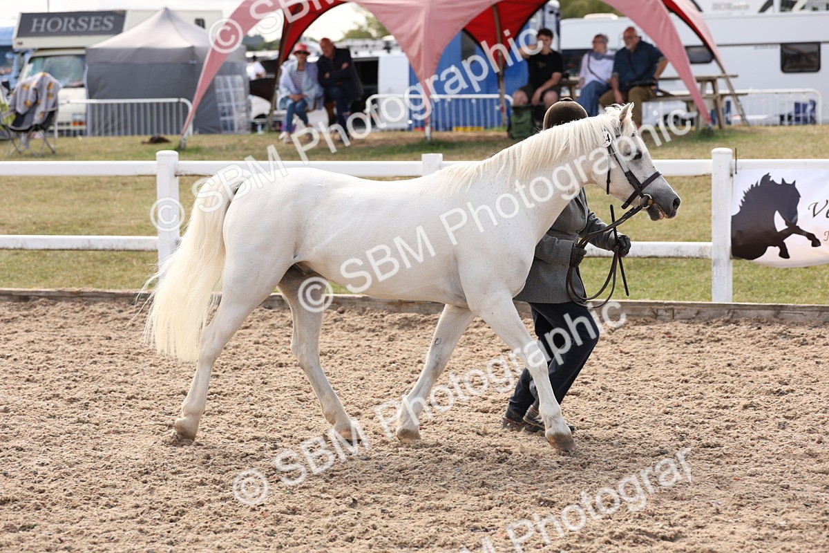 SBM_15063 - Class 209 - IH Veteran Pony