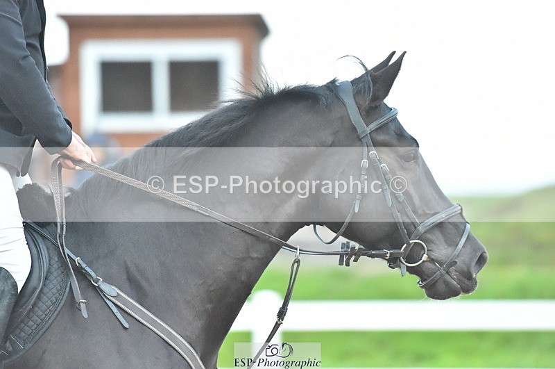 231111A-153312-02493 - Cls 14 Blue Chip 1.25m Winter Qualifier