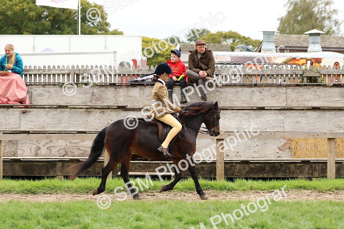 SBM_67377 - S61 - Mountain & Moorland Ridden