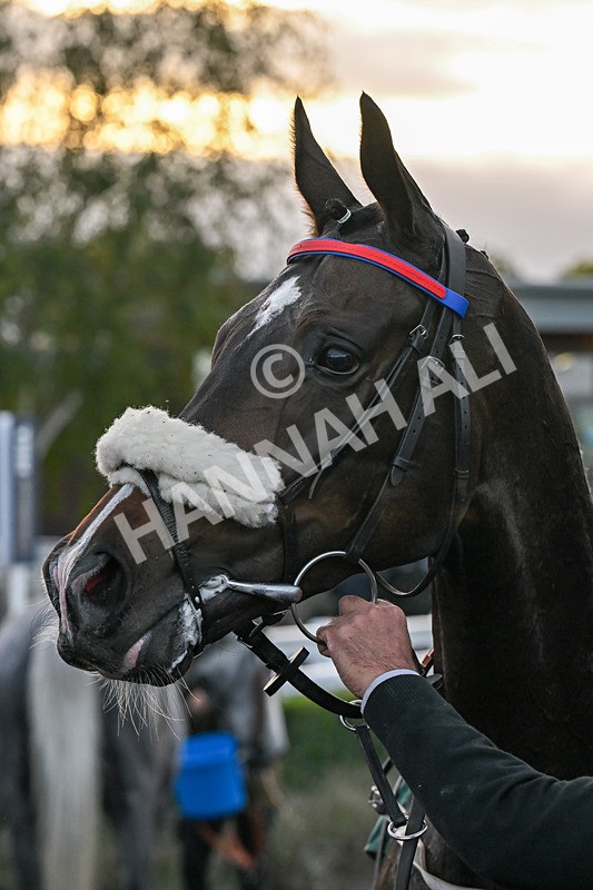 171026-Race 8-Gentle Warrior-6652 - Race 8 5.15pm Go Racing In Yorkshire Future Stars Apprentice Handicap