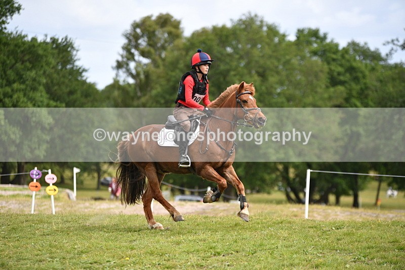 WJ5_6542 - Time 10:50 to 11:00