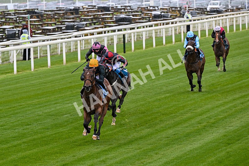 130526-Race 1-Cut A Dash-0041 - Race 1 1.45pm British Stallion Studs EBF Novice Stakes