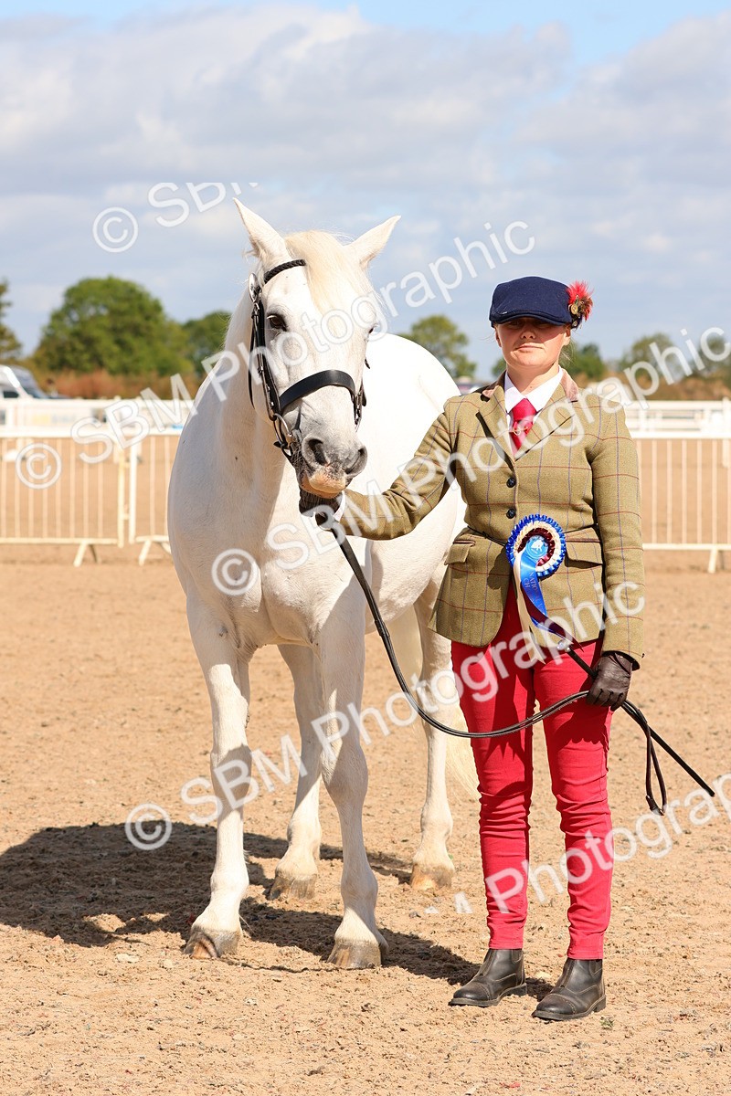 SBM_12001 - Class 209 - IH Veteran Pony