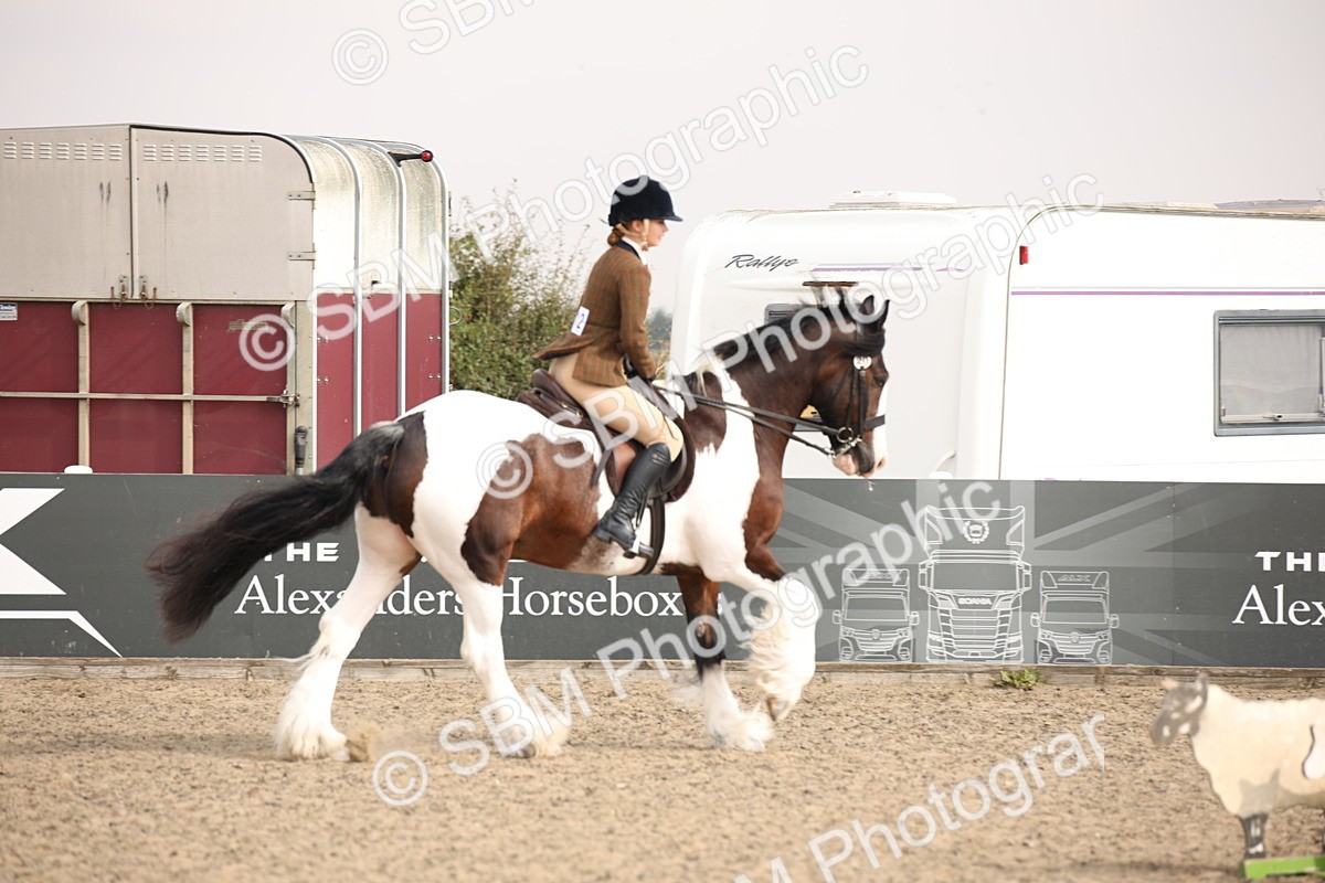 SBM_11669 - Class 404b Junior Working Veteran- 40cm(20+)