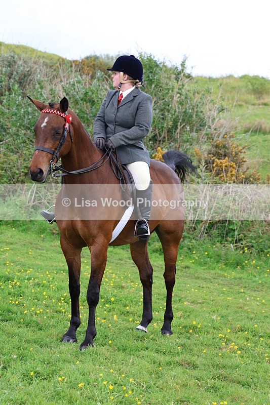 3E7A1841 - Class 9: Riding Club Horse/Pony