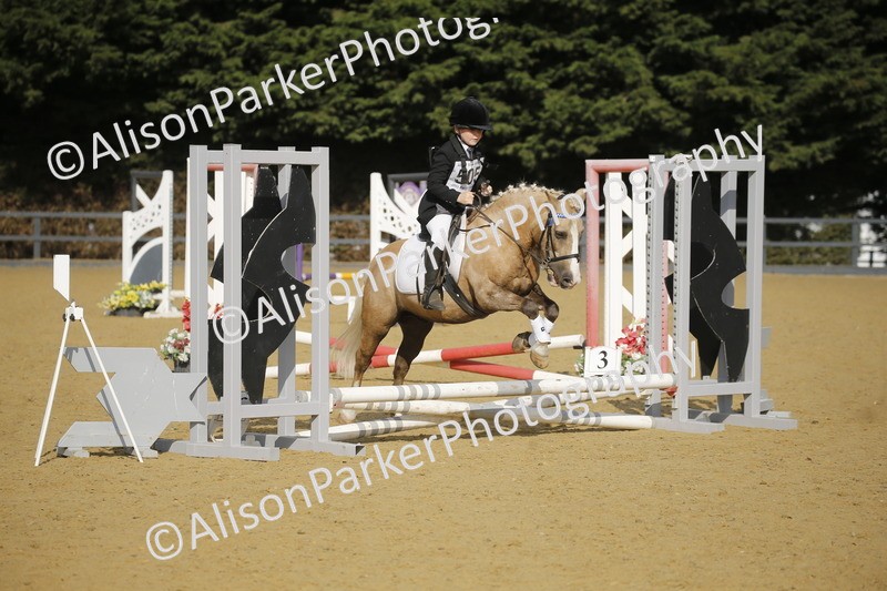 20250622-1193 - 40cm