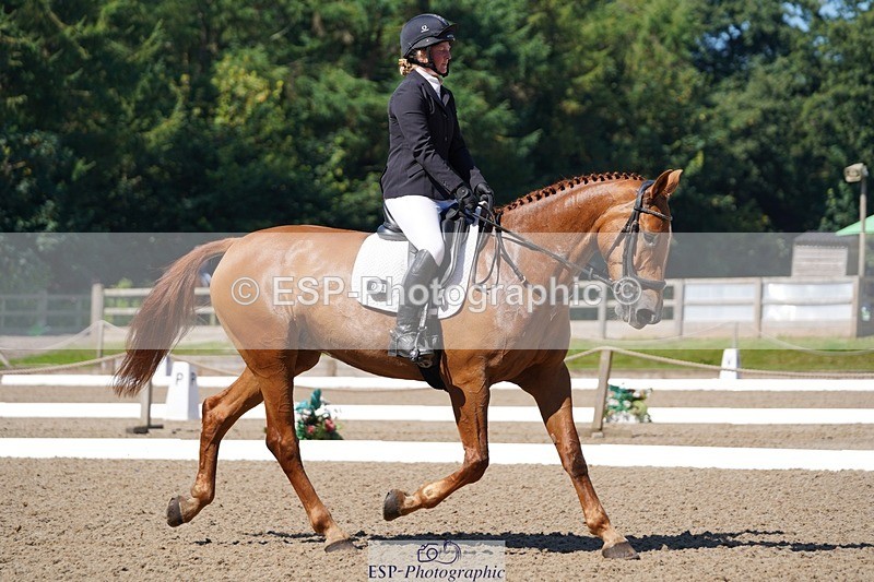 240719-102600-00545 - 204-Alana_Shapland-Forever_autumn_DS