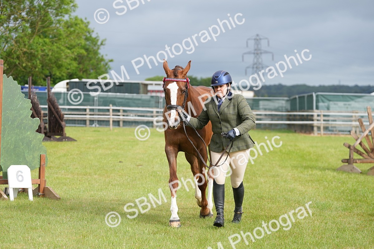 SBM_10632 - Class 97-98 - LIHS BSHA Rising Star Working Show Horse Hunter