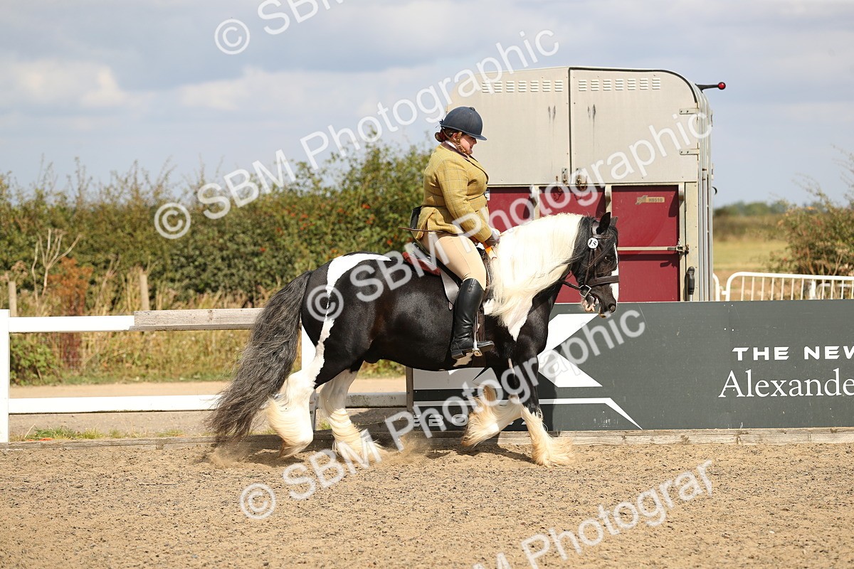 SBM_04287 - Class 46a Style & Performance 50cm (15-19)