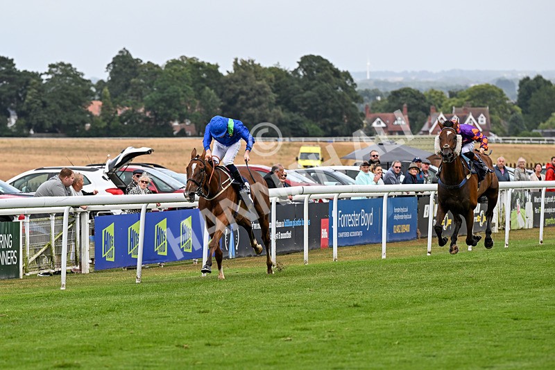 150725-Race 5-Sax Appeal-0759 - Race 5