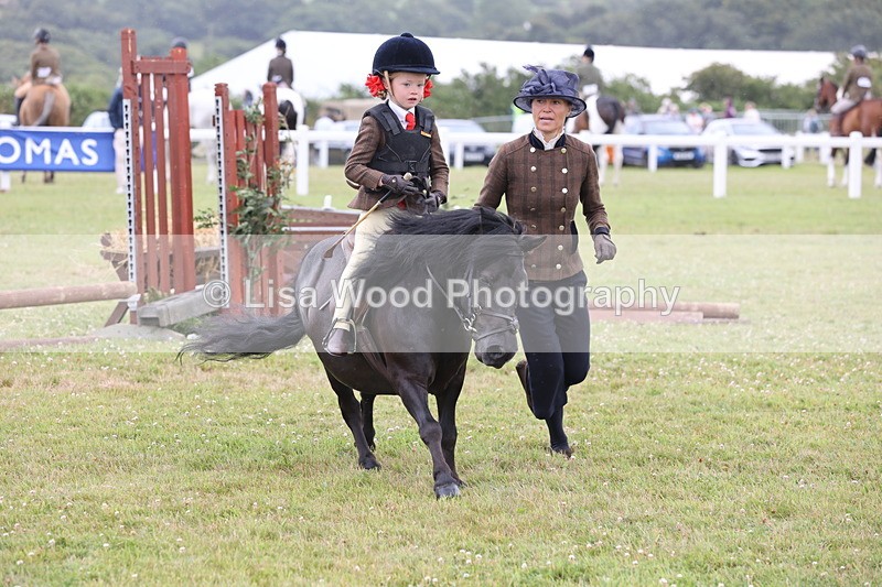 JPP_1739 - Class 18: Tiny Tots Working Hunter Pony