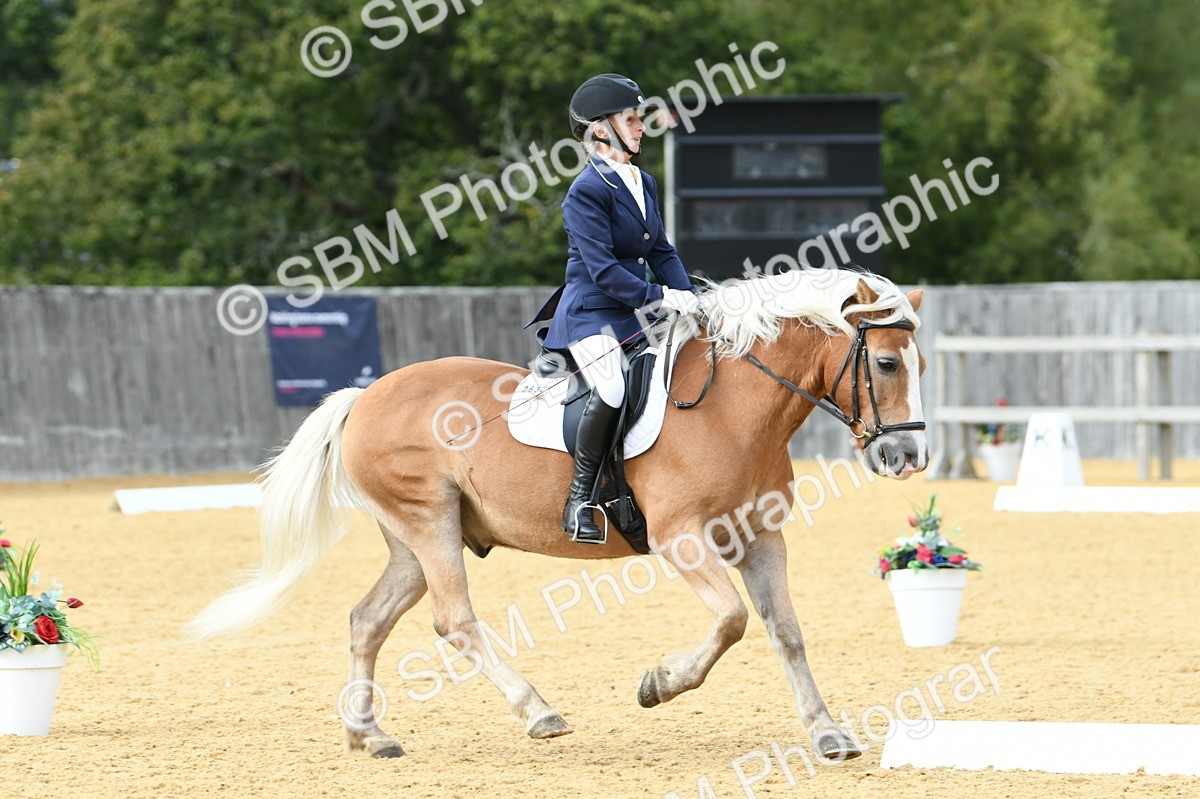 SBM_10915 - D28 Elementary Taster Elementary 42