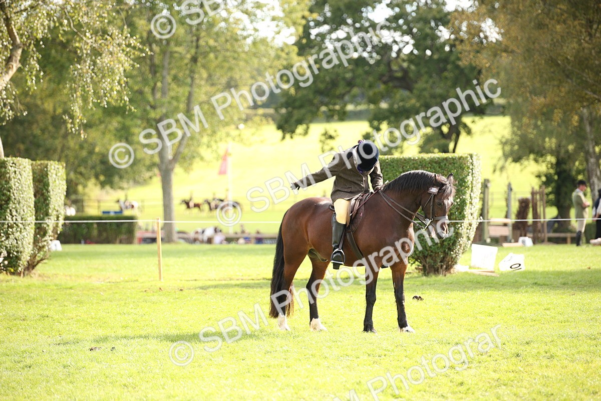 SBM_50168 - S26 - Young Veteran - Ridden