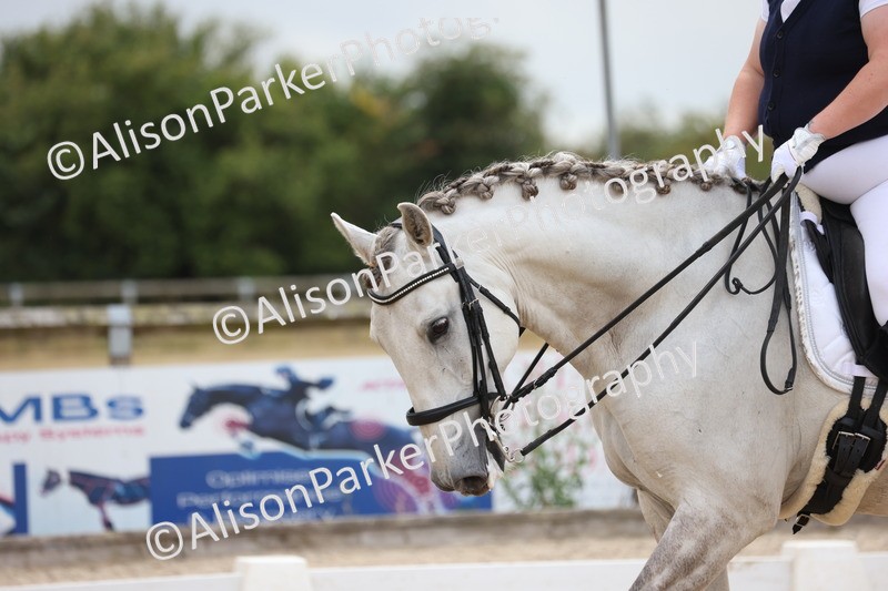 20250706-0460 - Class 17 - Elementary 5