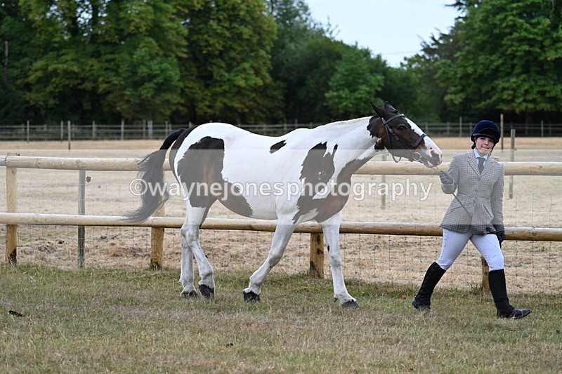 WJ7_8846 - Class 4a Prettiest Mare 14.2hh and over