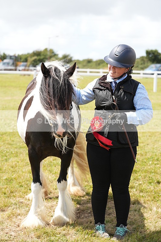 DSC06959 - Class 60: Coloured Pony 4yrs & over