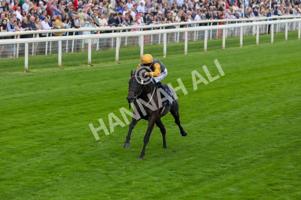 230823-Race 2-Indian Run-4128 - Race 2 2.25pm Tattersalls Acomb Stakes