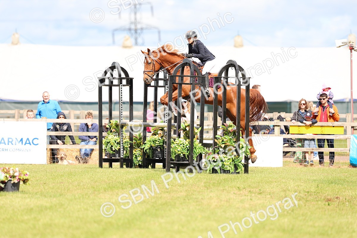 SBM_13403 - Class 206 - Senior Newcomers - 1.10m Open