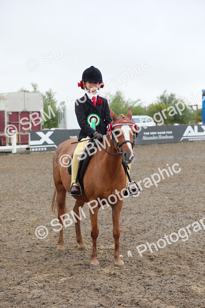 SBM_20648 - Class 804 - Ridden Veteran Pony