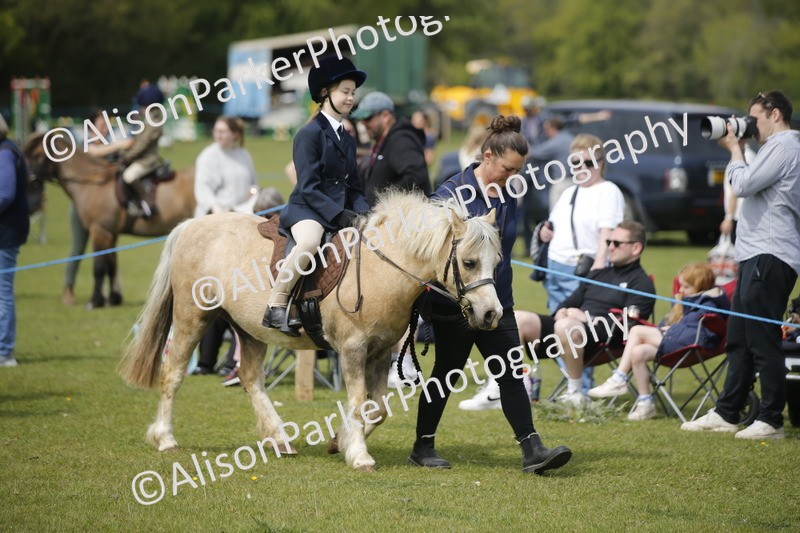 20260426-1933 - Class 8 - Prettiest Mare