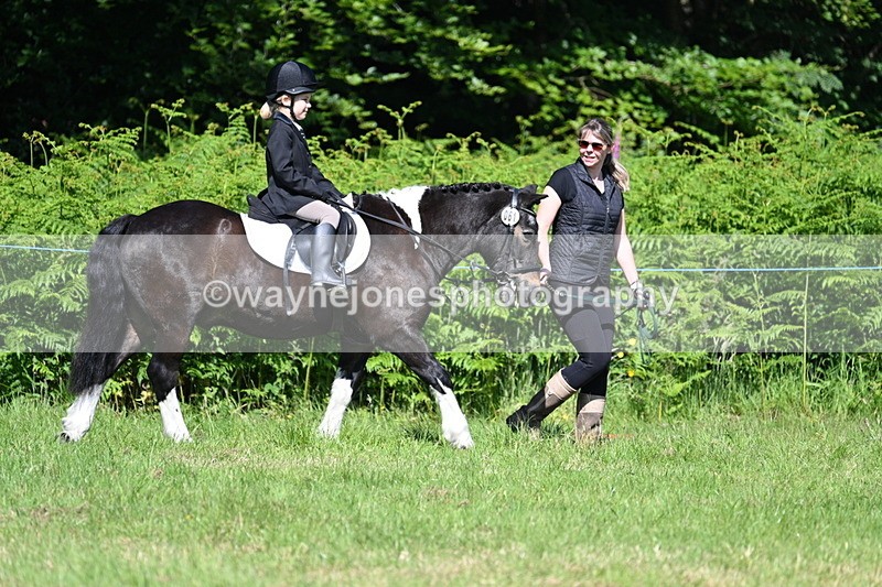 WJ7_0736 - Class 8 First Rally Pony