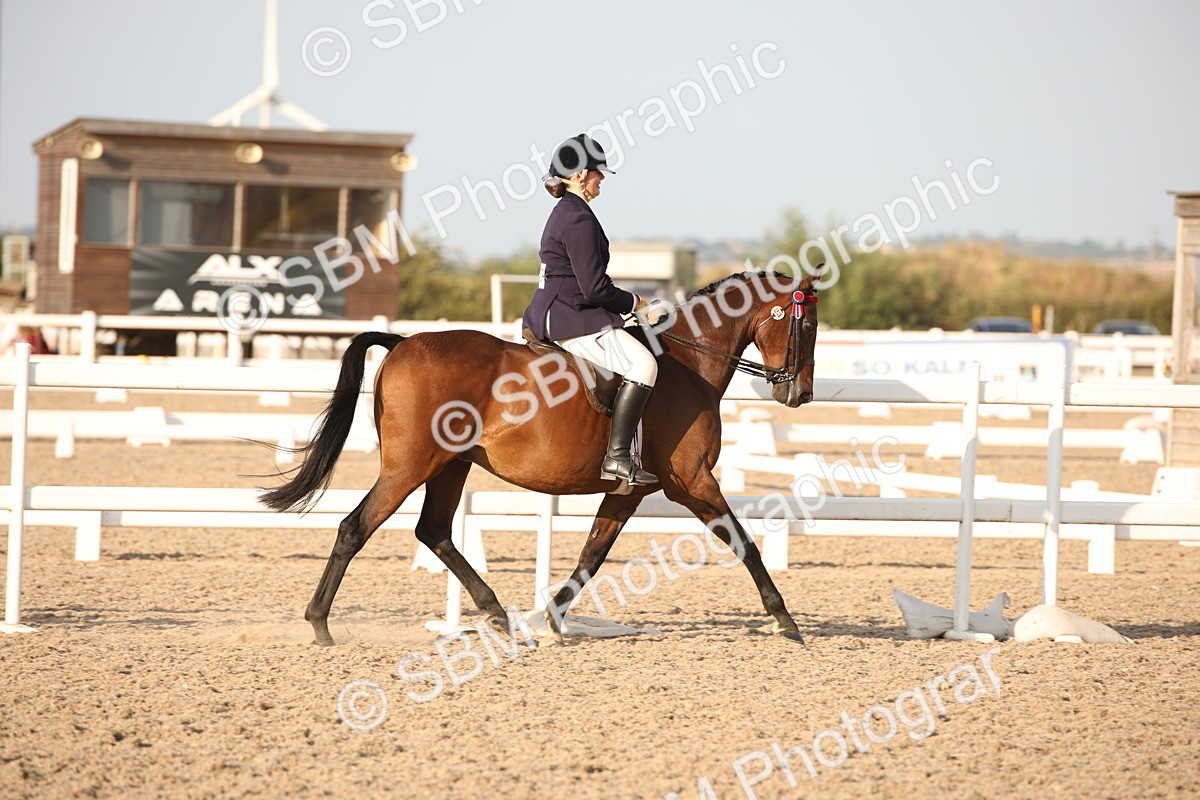 SBM_09223 - Regional Ridden Champ