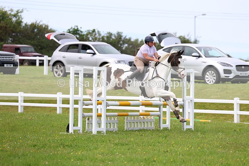 3E7A1697 - Class 13: Senior British Novice/90cm open