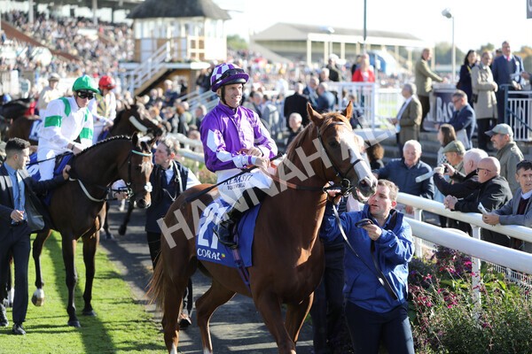 yr08102022r4-7 - Race 4 3.15pm The Coral Sprint Trophy