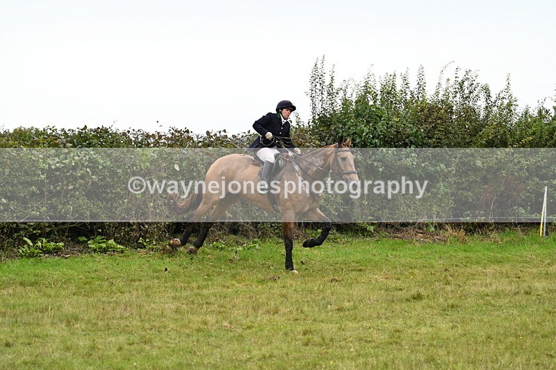 WJ7_4209 - Camera 1 Line 2